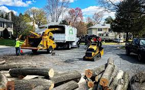 Best Lawn Maintenance Plans  in Lenwood, CA