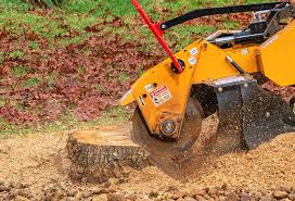 Best Seasonal Cleanup (Spring/Fall)  in Lenwood, CA